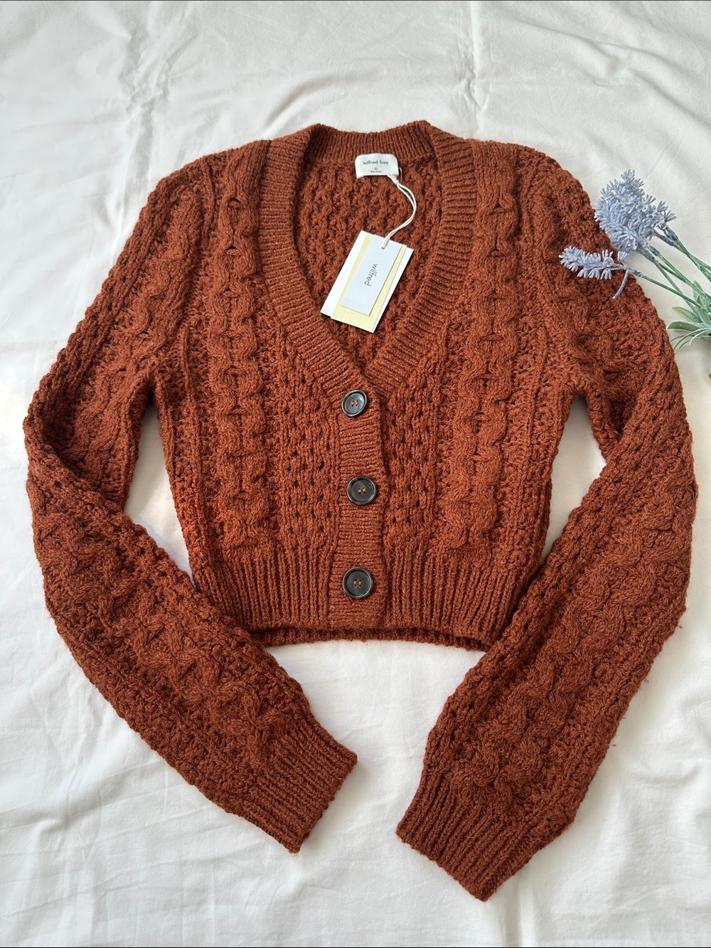 Wilfred Rustwood Cable-Knit Cropped V-Neck Adley Cardigan